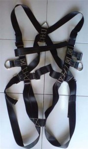 full body harness lokal (Small)